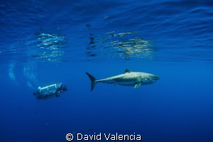 This day we had a sub in the water. Here's a comparison o... by David Valencia 